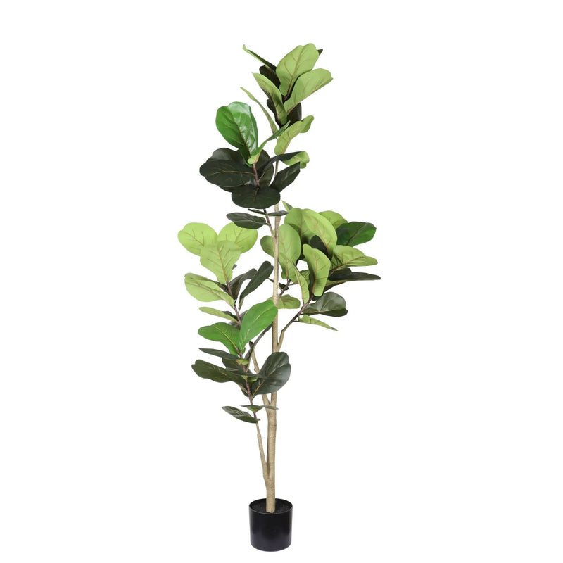 6Ft Real Touch Fake Fiddle Leaf Fig Tree In Pot, Indoor Decor For Home - Green Leaves by Unique Piece Furniture
