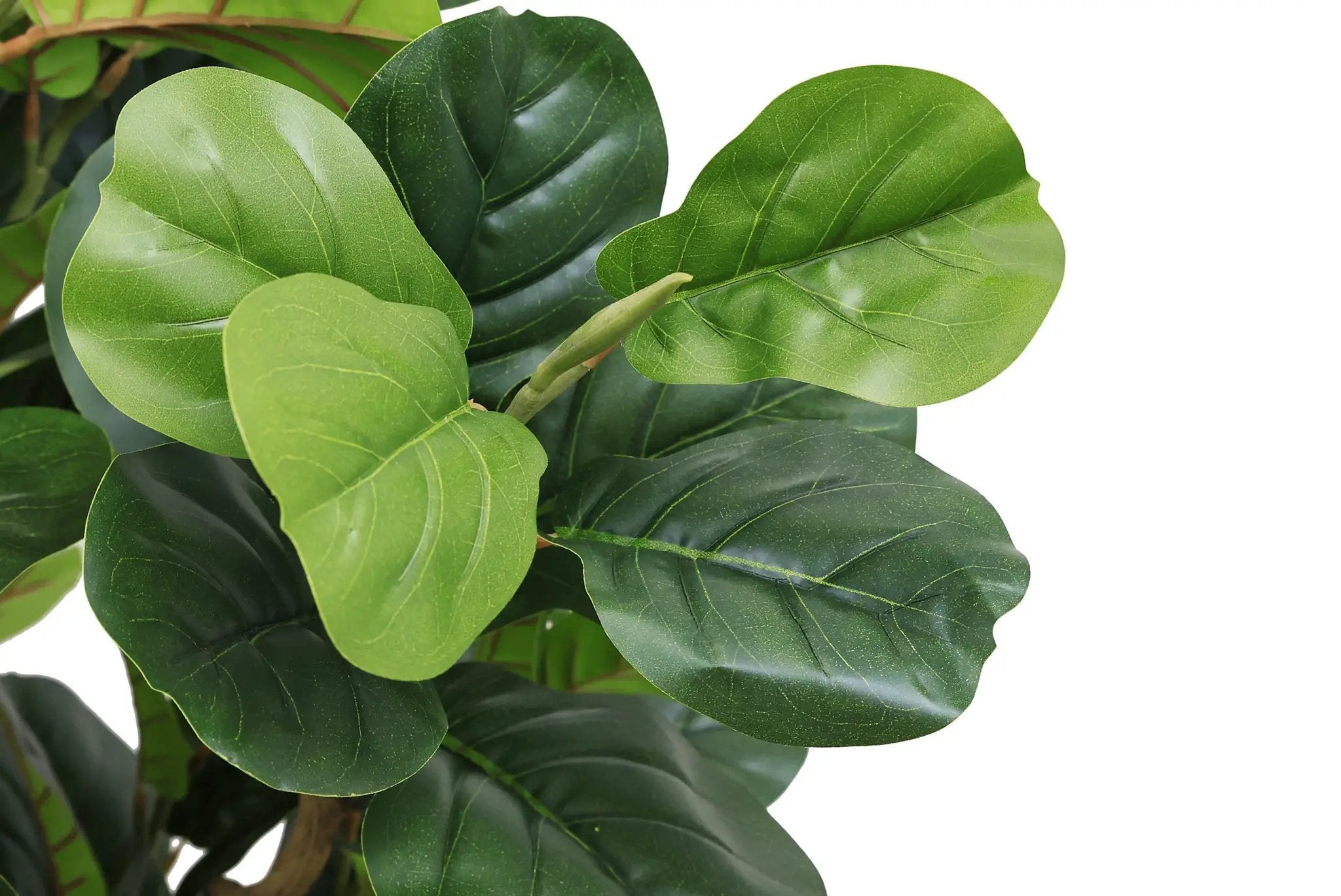 7FT Tall Artificial Banyan Tree Silk Plant – Large Faux Greenery by HouseOfZazla