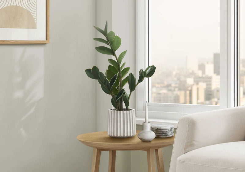 20" Tall, Artificial Plant, Zz, Indoor, Faux, Fake, Table, Greenery, Potted, Real Touch, Decorative - Green / Gray by Unique Piece Furniture