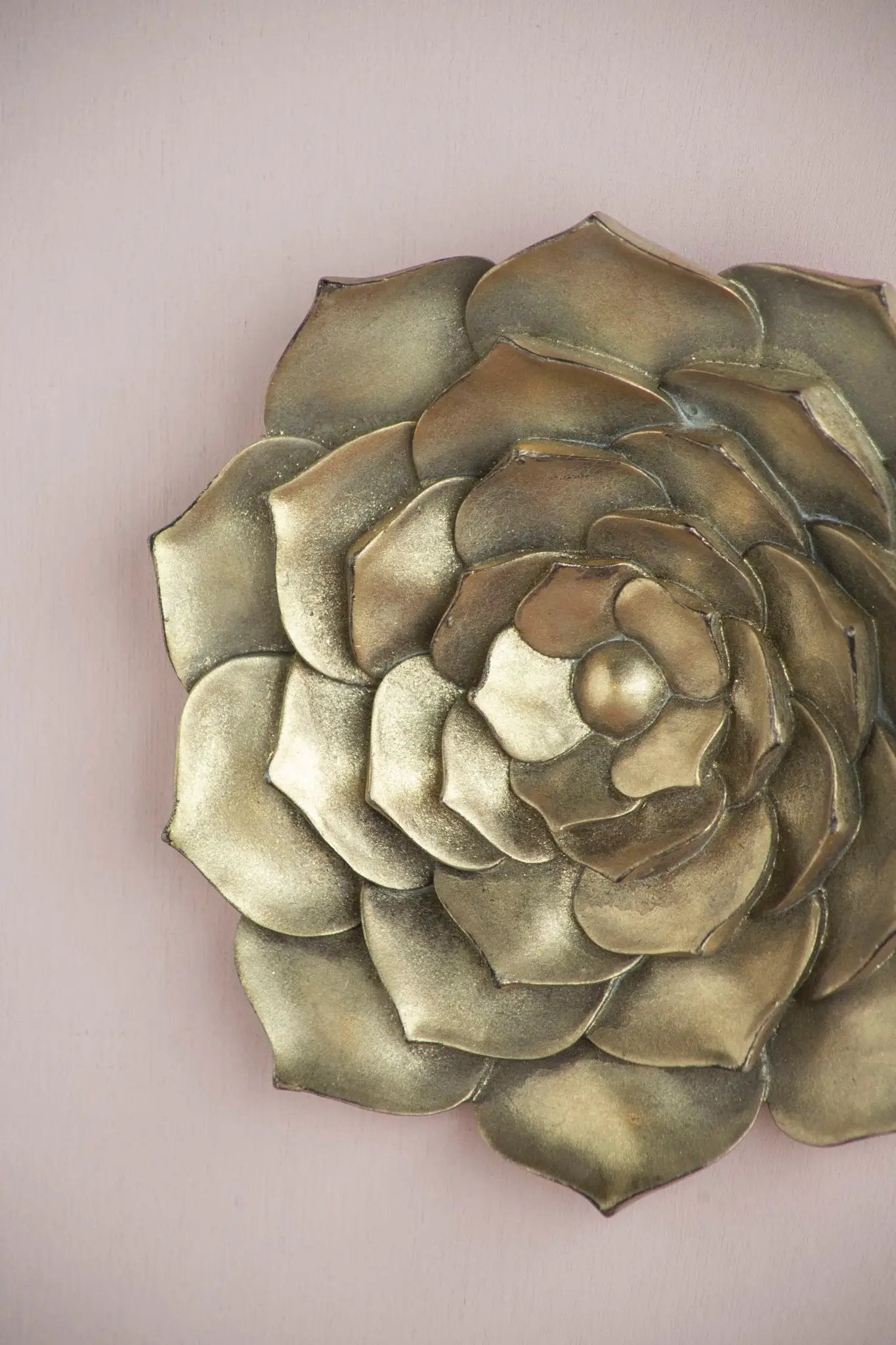 Succulent Wall Plaque Resin by Unique Piece Furniture