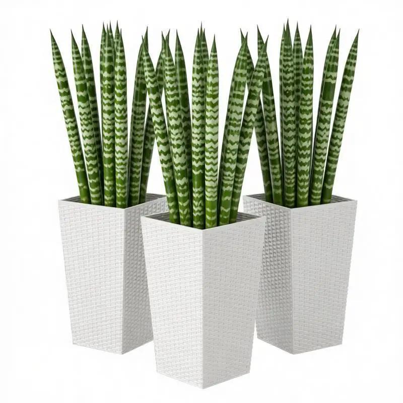 Spacious Plant Pots, Plants Box Set of 3, Tall Planters Box by HouseOfZazla