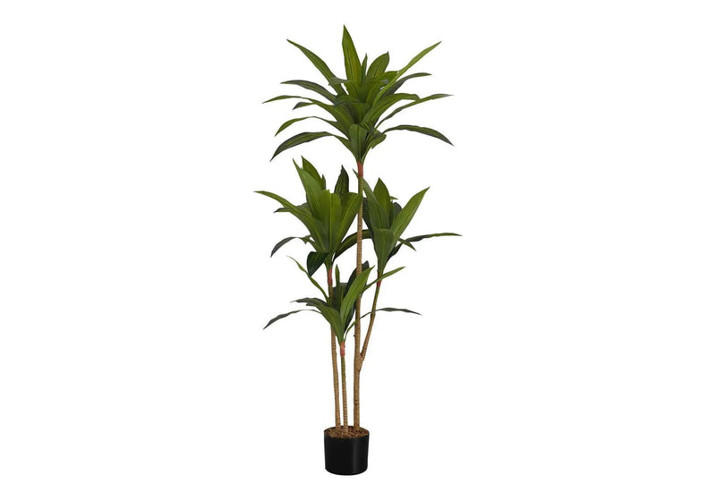 51" Tall Artificial Dracaena Tree by HouseOfZazla