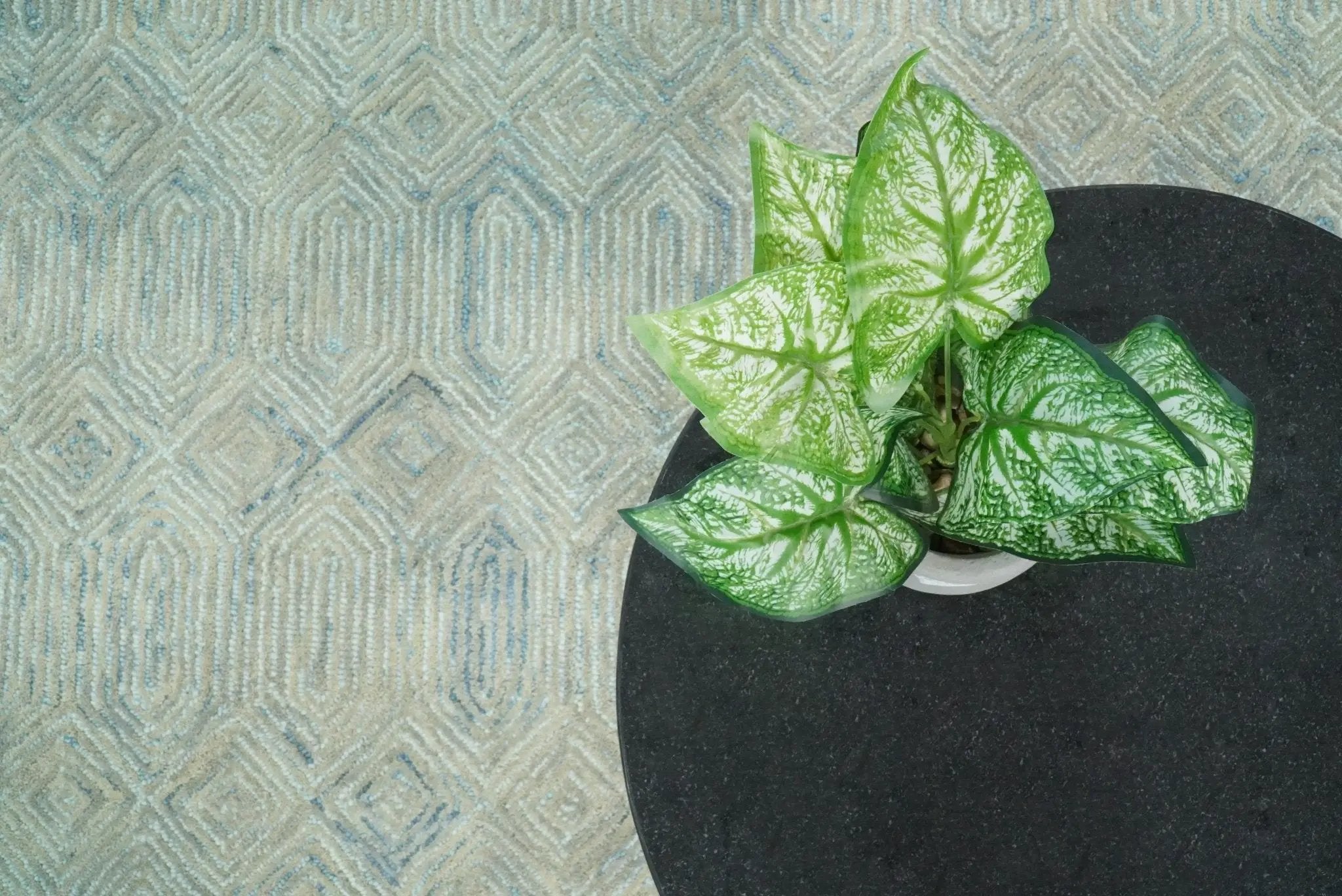 Beige Modern Style Hand Tufted Wool Area Rug by The Rug Decor