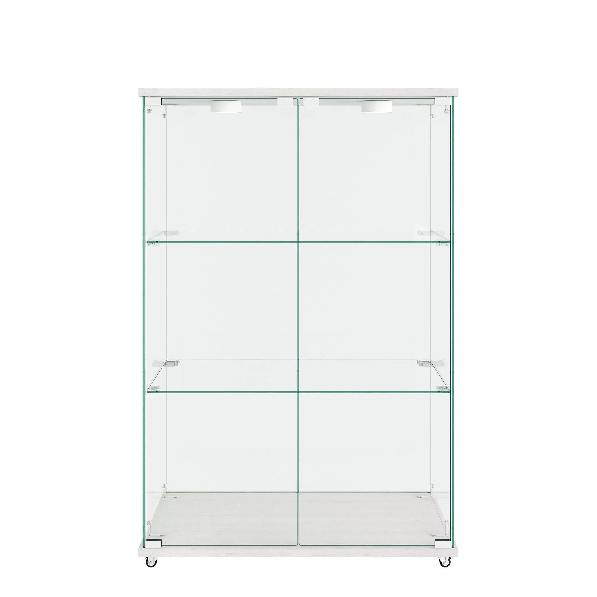 Modern Display Cabinet With LED Lights, Transparent Tempered Glass 2 Door Storage Case With 3 Shelves by HouseOfZazla