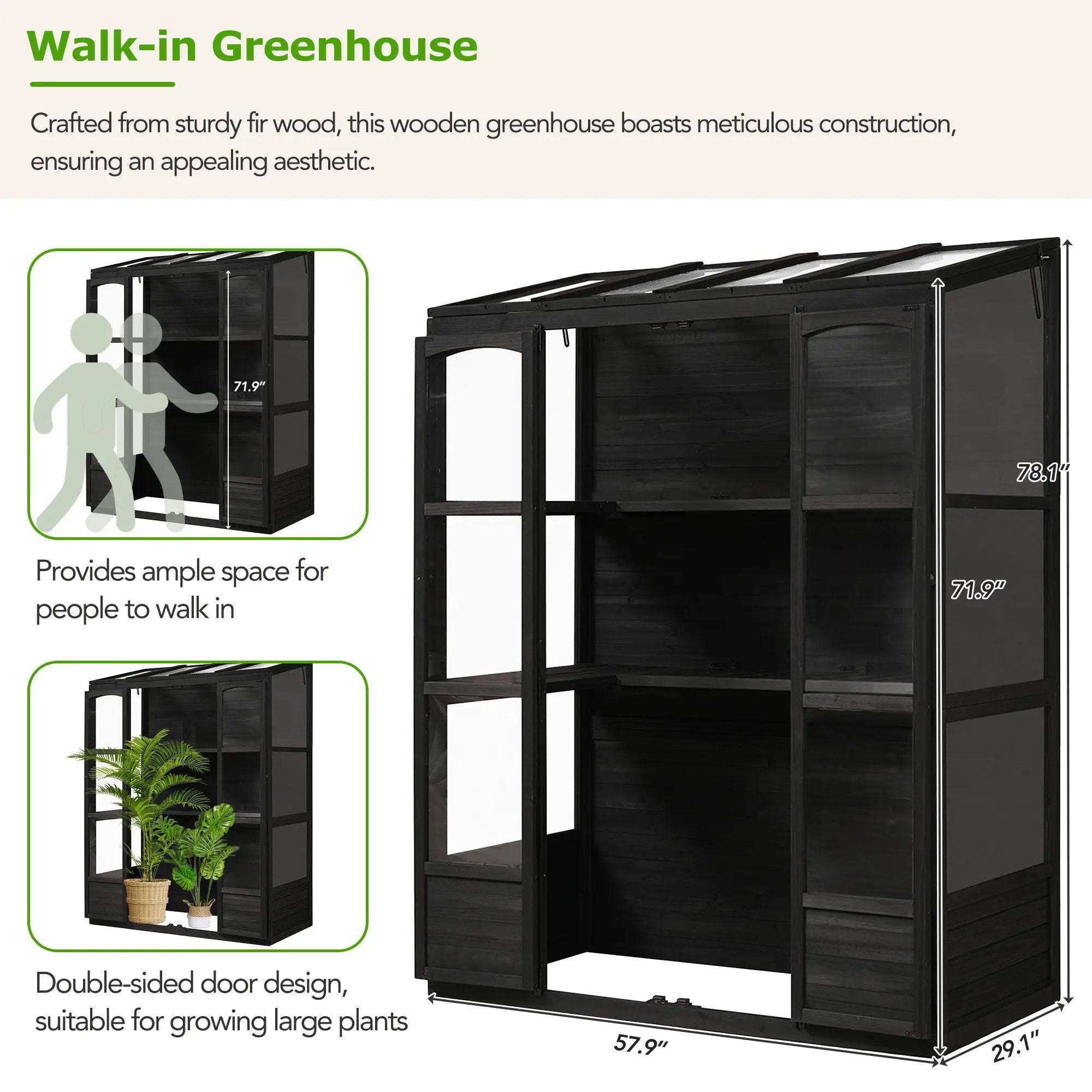 TOPMAX 78-inch Wooden Greenhouse Cold Frame with 4 Independent Skylights and 2 Folding Middle Shelves by HouseOfZazla