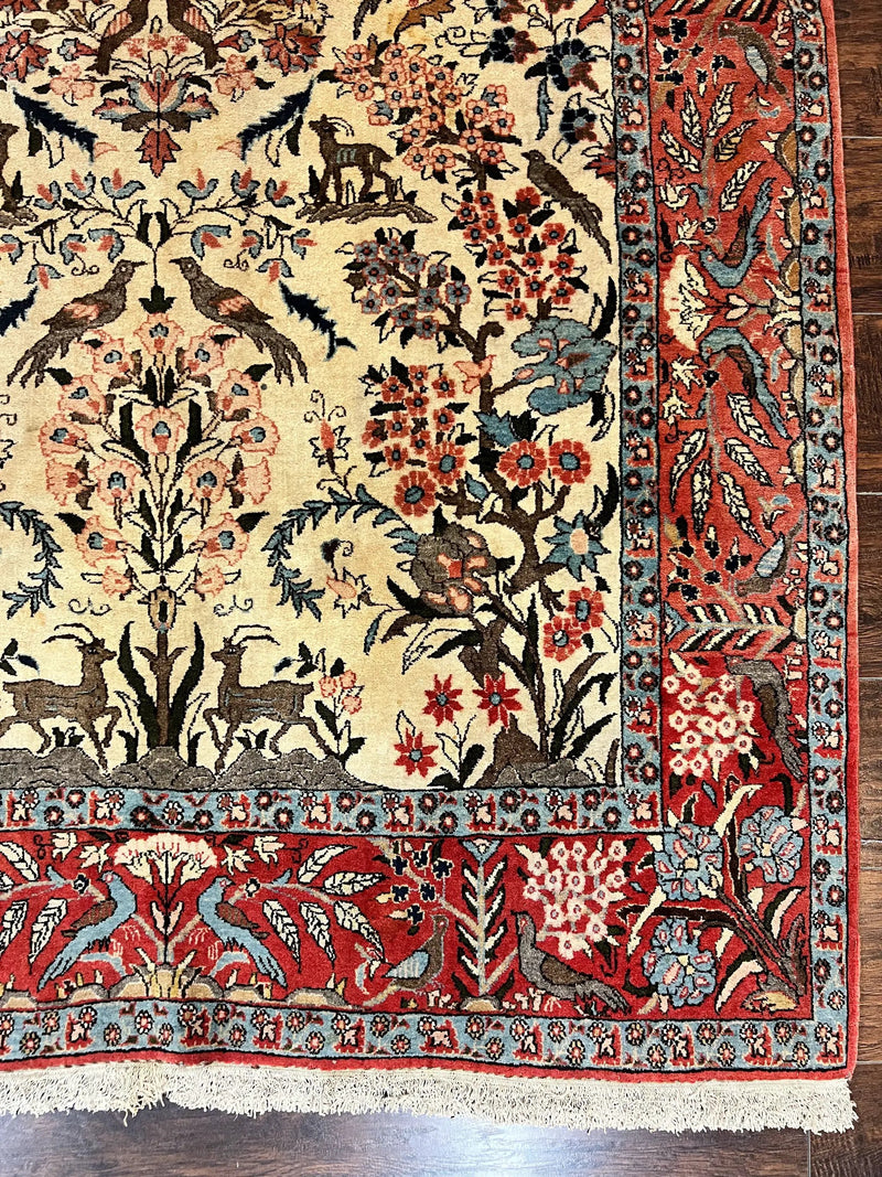 Persian Tree of Life 5x7, Qum Rug, Animal Motifs, Deer Birds, Fine 225 KPSI, Semi Antique Wool Rug, Cream Red by Jewel Rugs