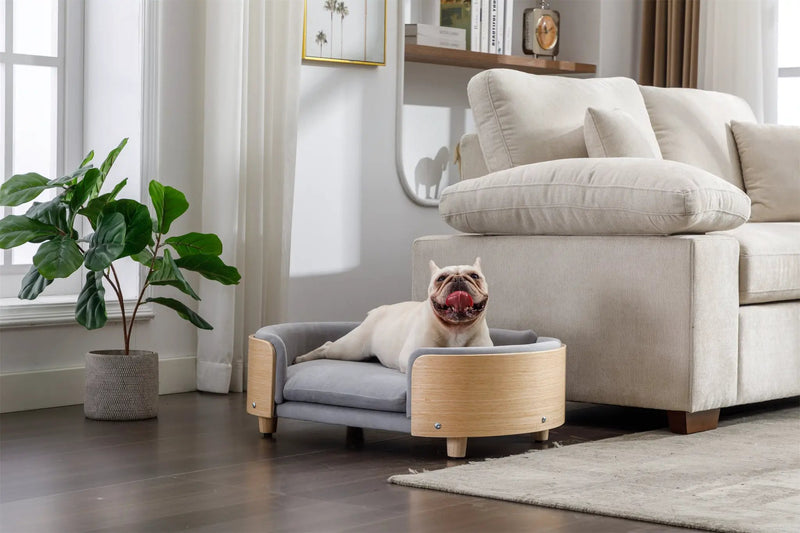 Scandinavian Style Elevated Dog Bed Pet Sofa Velvet Cushion Mid Size Light Grey by HouseOfZazla