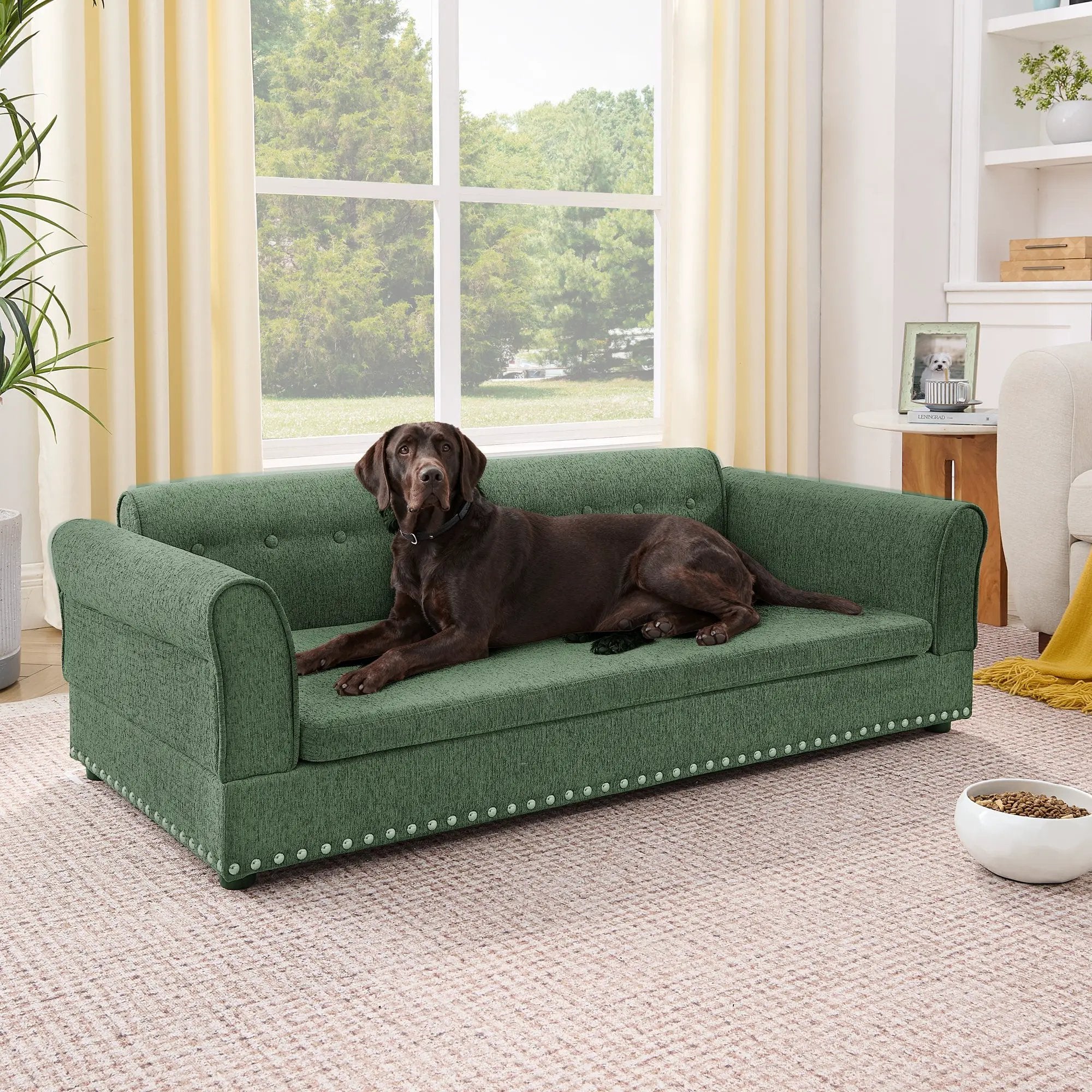 Oversized Pet Sofa - Elegant Modern Design by HouseOfZazla