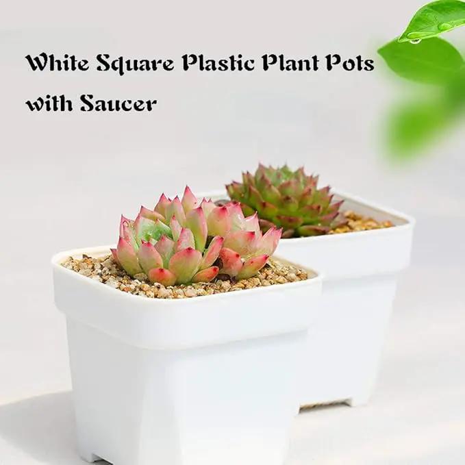 OJYUDD 3inch White Square Plastic Pots with Saucer, Drainage Hole, 24 Pcs, for Flower/Plant, Home,Company,Office and Garden(White) by GreenHaven Gardens
