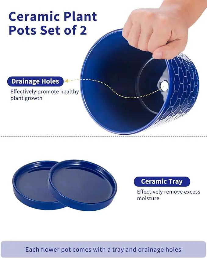 EFISPSS 6 Inch Pots for Indoor Plants,Ceramic Plant Pots,Planters with Drainage Hole and Saucer, Flower Pots Desktop Office Windowsill Decoration Gift Set of 2 - Sapphire Blue by GreenHaven Gardens