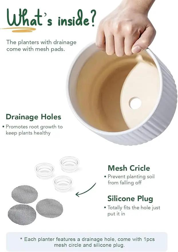 LE TAUCI Ceramic Plant Pots with Drainage Holes, Set of 3, 8+6.7+5.5 Inch Stripe Garden Planter Pots for Outdoor Indoor Plants Flower, Round Succulent Orchid Flower Pot, Small to Large Size, White by GreenHaven Gardens