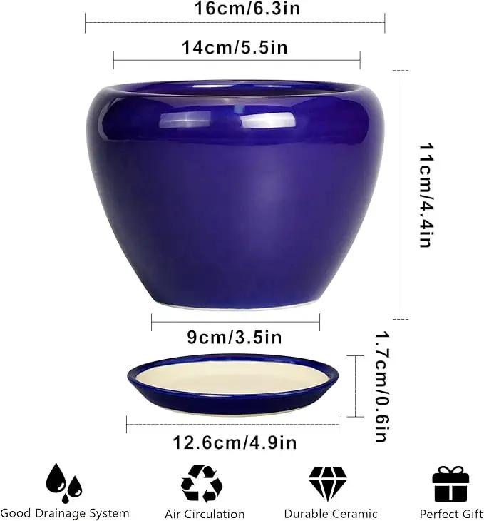 6 Inch Plant Pot - Ceramic Pots for Plants Succulent Pot with Drainage Hole and Saucer Round Planter Outdoor Flower Pot for Herb Snake Plants Blue by GreenHaven Gardens
