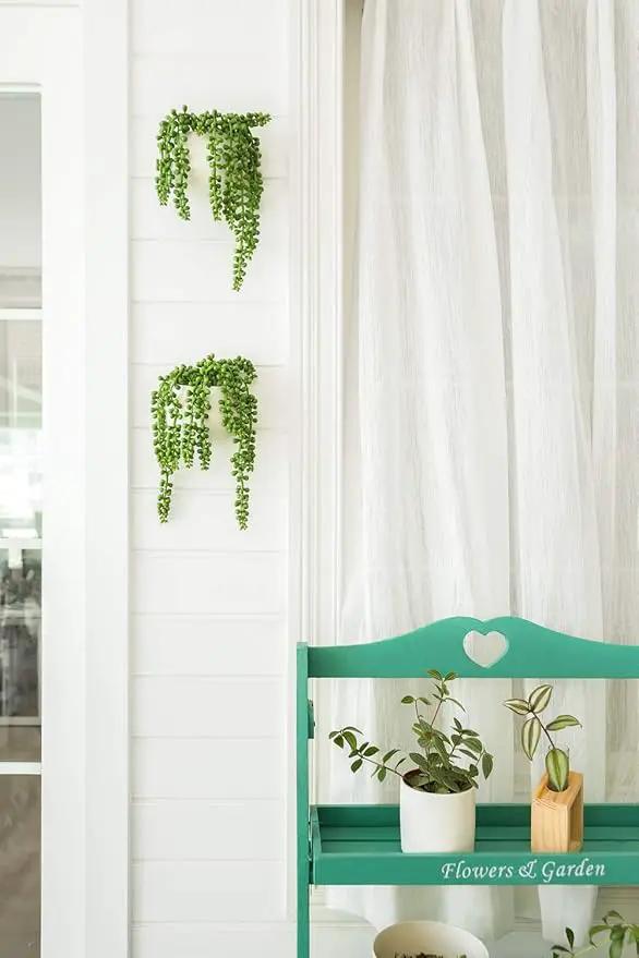 Dahey Wall Planters with Fake String of Pearls Plant Artificial Succulent Small Modern Ceramic Mounted Planter Round Hanging Wall Vase Display Holder for Indoor Garden Office Decor, Set of 2 by GreenHaven Gardens