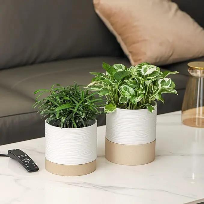 Nihow Self Watering Plant Pot: 6 Inch Ceramic Planter with Drainage Hole & Water Storage Plus for Indoor & Outdoor Plants - Cylinder Round Flower Pot for Succulent/Herbs/Violets - White & Brown by GreenHaven Gardens