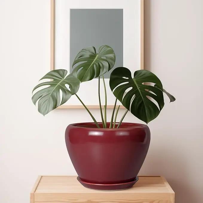 10 Inch Plant Pot - Ceramic Planter Pot with Drainage Hole and Saucer Large Planter for Indoor Plants Round Outdoor Flower Pot Mid-Century Decor Red by GreenHaven Gardens
