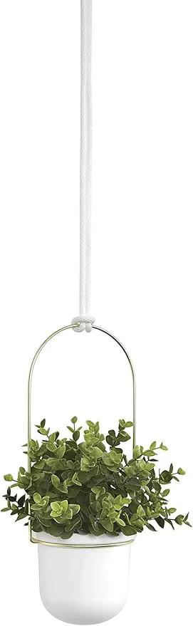 Umbra Triflora Hanging Planter for Window, Indoor Herb Garden, Set of 3, White/Brass by GreenHaven Gardens