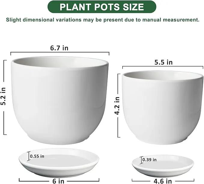 6.7 + 5.5 Inch Plant Pot, Ceramic Planter with Drainage and Saucer, Ceramic Pots for Plants, Indoor Plant pots,Succulent Pot Orchid Pots(Smooth White,Plant Pot Only) by GreenHaven Gardens