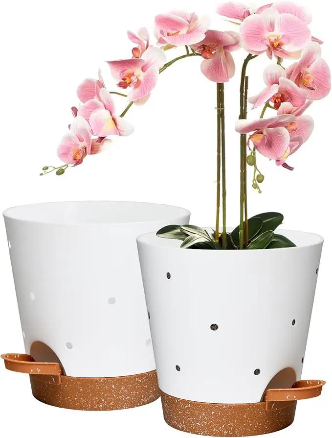 Orchid Pots with Holes, 6 Inch Self Watering Orchid Pot 2 Pack Plastic Plant Pots for Orchid, Flower (White+Brown) by GreenHaven Gardens