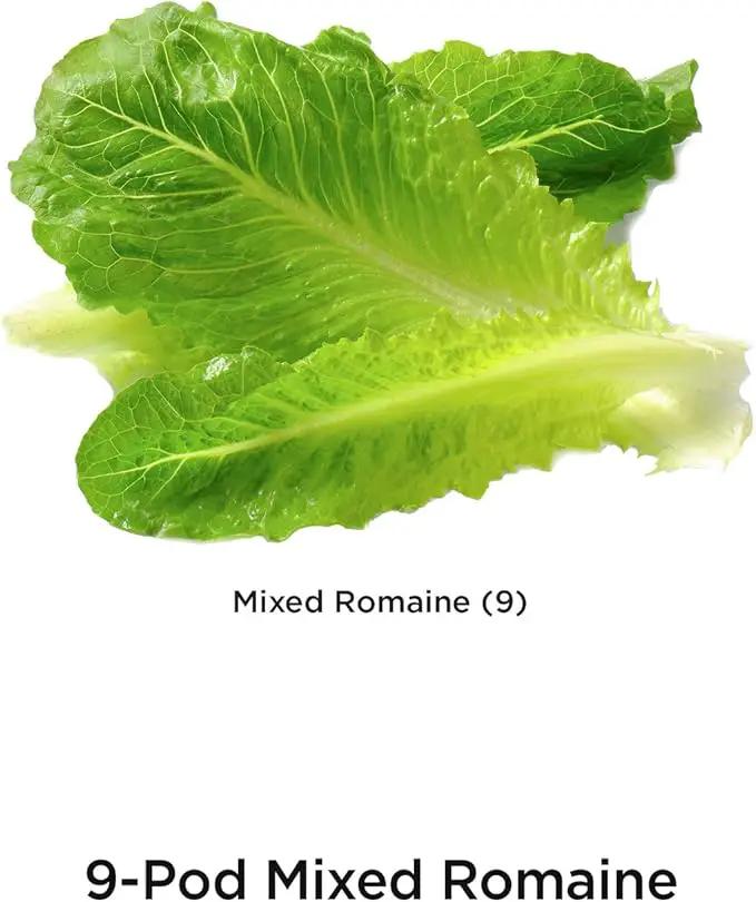 AeroGarden Mixed Romaine Lettuce Seed Pod Kit, Green,Red (9-pod) by GreenHaven Gardens
