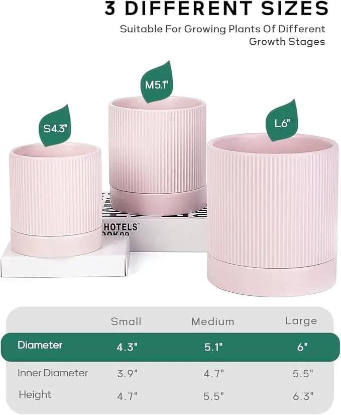 LaDoVita 3 Pack Ceramic Plant Pots 6/5/4 inch, Flowerpot for Indoor Plants with Drainage Holes and Tray, Outdoor Garden Planters, Modern Decorative for Home, Pink Vertical Stripes by GreenHaven Gardens