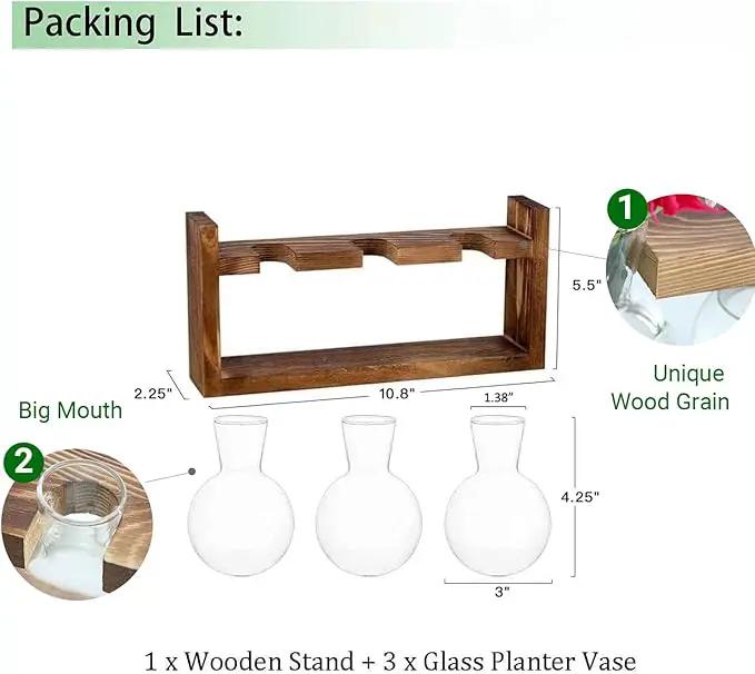 Plant Propagation Station,Plant Terrarium,Plant Starter,Gifts for Plant Lovers,Glass Bulb Terrarium with Retro Solid Wooden Stand for Hydroponics Plants Home Garden Wedding Décor (3 Bulbs) by GreenHaven Gardens