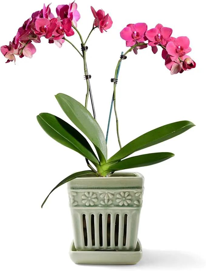 Orchid Pots with Holes | 5" Ceramic Orchid Planter with Separate Saucer and Drainage Holes | Glazed Pottery Small Flower Pot for Repotting Orchids(Green) by GreenHaven Gardens