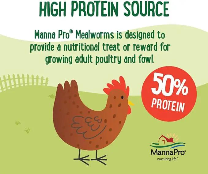 Manna Pro Farmhouse Favorites Mealworms Poultry Treat - Protein Treat for Chicken - Poultry, Turkey, Ducks, Geese, and Guinea Fowl Treat - Contains 50% Protein - 100% Natural Poultry Snack - 2lbs by GreenHaven Gardens