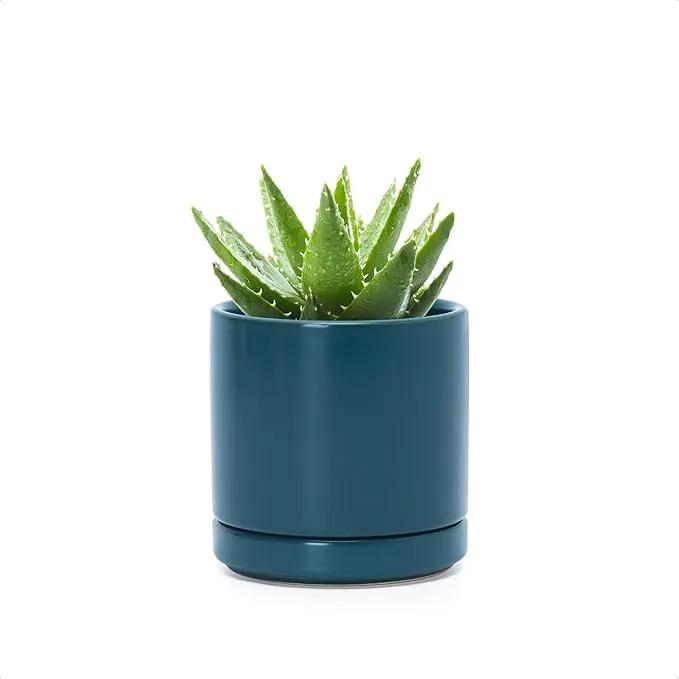 D'vine Dev 3.5 Inch Ceramic Planter Pot with Drainage Hole and Saucer, Indoor Cylinder Round Planter Pot, Teal, 94-O-A-9 by GreenHaven Gardens