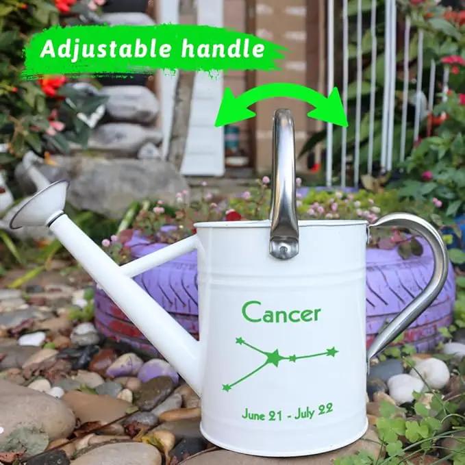 Metal Watering Can for Outdoor and Indoor Plants, Watering Can Decor, 1 Gallon (Cancer) by GreenHaven Gardens