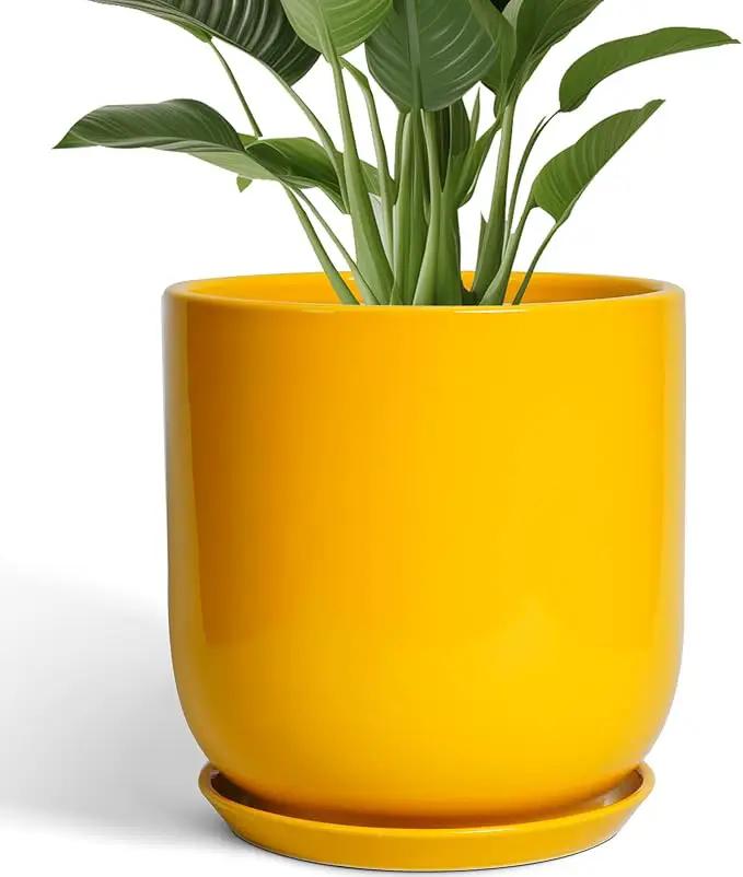 12 Inch Pots for Plants - Ceramic Planter for Outdoor Plants Large Plant Pot Indoor with Drainage Hole Modern Flower Pot for Home Patio Office Decor Yellow by GreenHaven Gardens