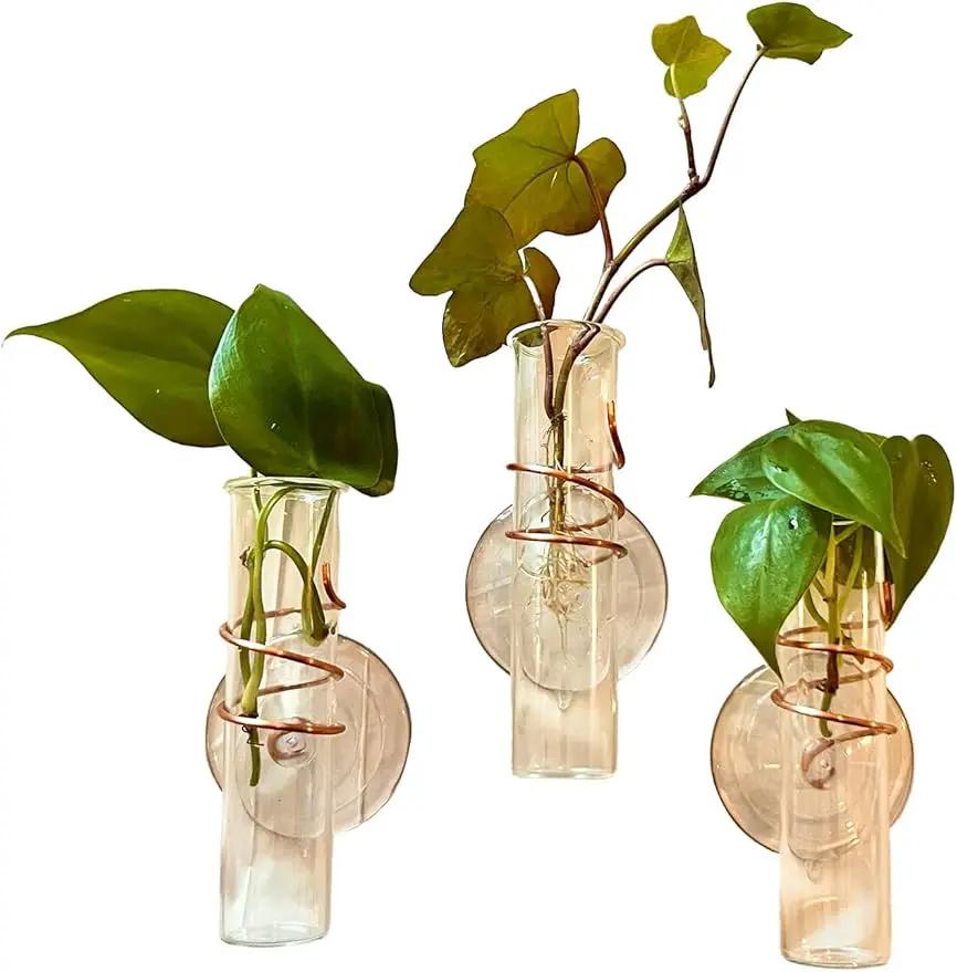 The Little Window Propagator | Window Propagation Station with Removable Glass Tubes, Indoor Plant Clippings, Cut Flowers, Herbs, Succulents | Home Decor | Plant Lover Gift (3)