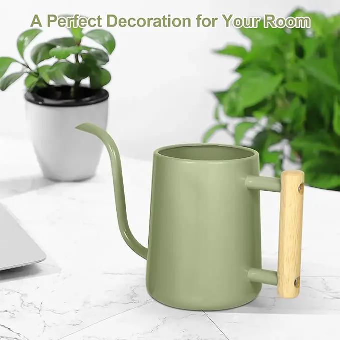 Watering Can Indoor Plants, 35 oz/1000 ml Metal Stainless Steel Watering Can Pot with Long Spout for Indoor House Plants Bonsai Outdoor Garden Flower Decorative (Sage Green) by GreenHaven Gardens