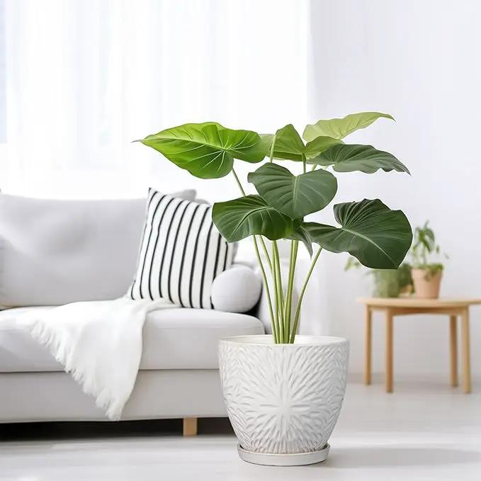 G EPGardening 8 Inch Ceramic Plant Pot with Drainage Hole and Saucer Round Planter Pot for Indoor Outdoor Plants Modern Large Flower Pot White by GreenHaven Gardens