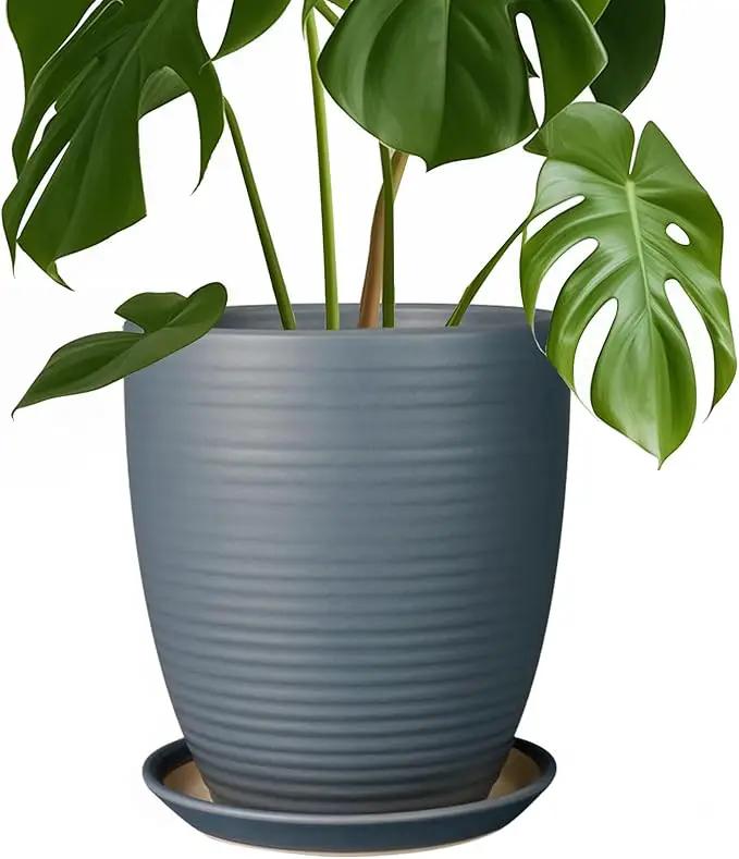 8 Inch Ceramic Plant Pot Large Planter Pot for Plants Indoor Outdoor Glaze Flower Pot with Drainage Hole and Saucer Gray by GreenHaven Gardens