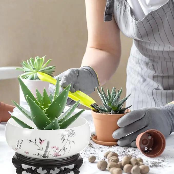 Ceramic Chinese Pot with Base Hydroponic Pot White Water Lily Bowl Ceramic Planter for Home Office Garden 7 Inch by GreenHaven Gardens