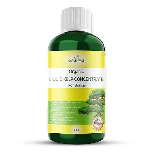 Organic Premium Seaweed Fertilizer for All Bonsai - Liquid Kelp Plant Food - Nutrient-Rich Liquid Plant Food & Soil Enhancer for Growth Control (8 OZ) by GreenHaven Gardens