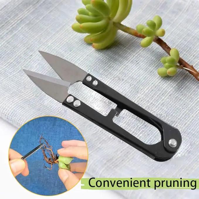 12 Pcs Succulent Tools Set Mini Transplanting Garden Tools Kit for Indoor Gardening Flower Pot Cactus Care by GreenHaven Gardens