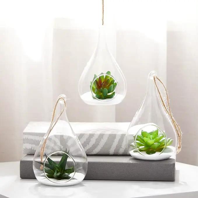 Juvale 5-Pack Hanging Glass Terrarium Containers - Air Plant Holder, Succulent Planter, Tea Light Candle Hangers (3.5x5 in) by GreenHaven Gardens