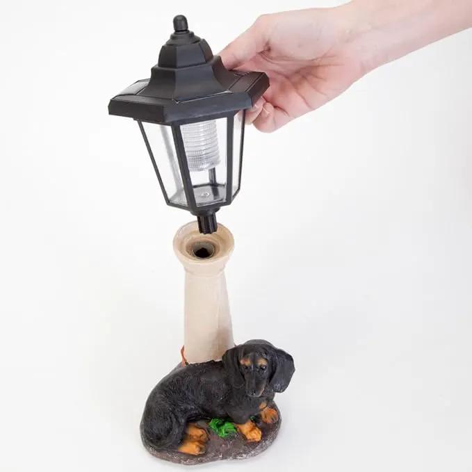 Bits and Pieces - Solar Dog Lantern-Solar Powered Garden Lantern - Resin Dog Sculpture with LED Light (Dachshund) by GreenHaven Gardens