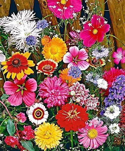 Dirt Goddess Super Seeds ~ Cut Flower Mix Seed (5 Lbs) by GreenHaven Gardens