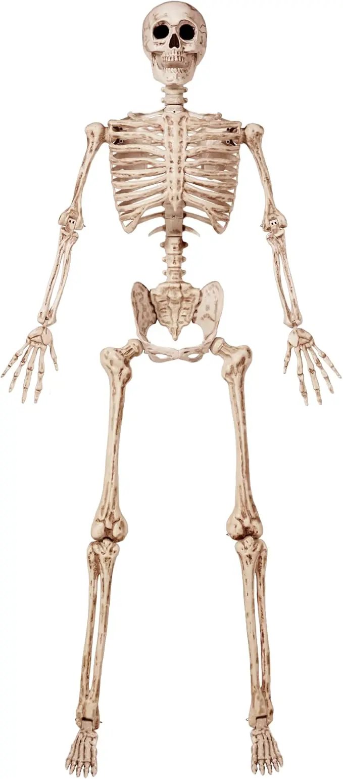 JOYIN 6.9 FT Halloween Skeleton Posable Plastic Full Body Realistic Human Bones with Movable Joints for Indoor Outdoor Halloween Props Spooky Scene Party Decorations（Yellow,No Screwdriver） by GreenHaven Gardens