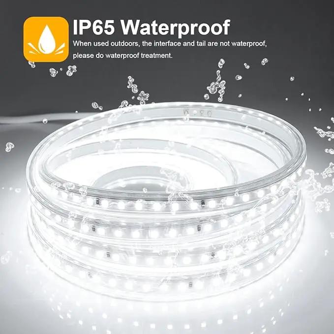 Outdoor LED Strip Lights,120LEDs/m Waterproof 32.8FT/10M LED Light Strip 6500K White Flexible LED Rope Lights for Garden Patio Cabinet Bedroom Indoor Outdoor Decoration(32.8FT, White) by GreenHaven Gardens