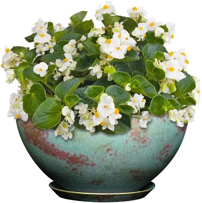 Classic Home and Garden Premiere Collection Planter, Rosie 10", Patina Copper by GreenHaven Gardens