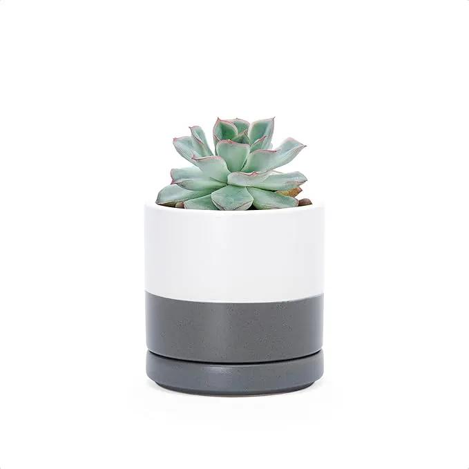 D'vine Dev 3.5 Inch Ceramic Planter Pot with Drainage Hole and Saucer, Indoor Cylinder Round Planter Pot, White/Speckled Grey, 94-O-A-6 by GreenHaven Gardens