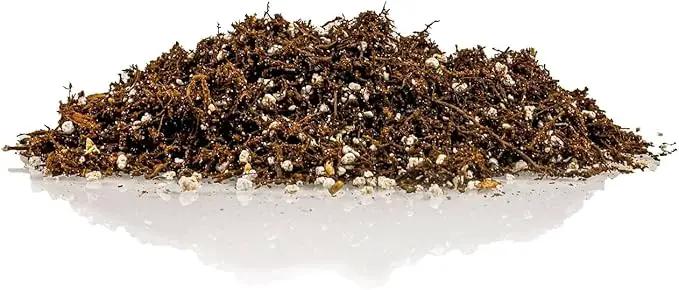 Fern + Perlite Soil Mix for Repotting and Planting Succulents and Cactuses - 4 Quart Bag by GreenHaven Gardens