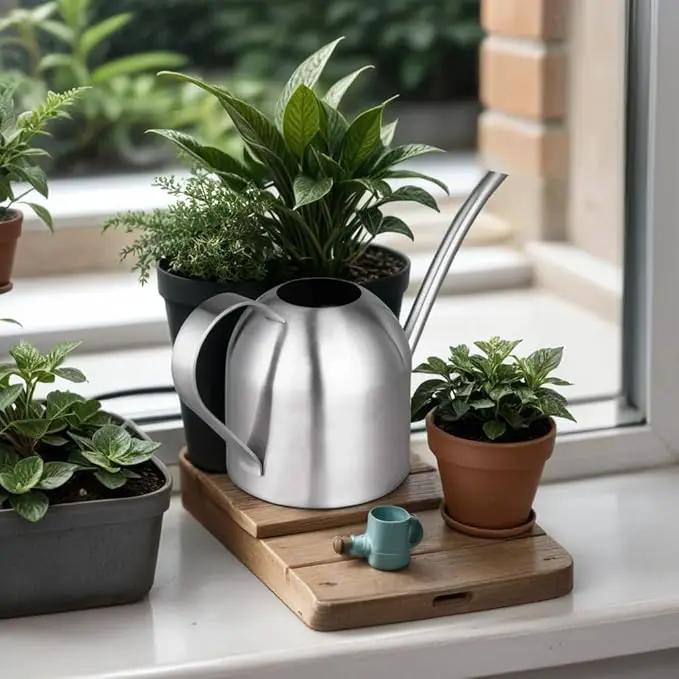 IMEEA Indoor Watering Can for House Plants Stainless Steel Watering Can Metal with Long Spout (33oz/1L) by GreenHaven Gardens