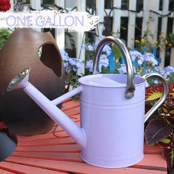 Metal Watering Can, One Gallon Watering Cans Stainless Steel for Outdoor Indoor Garden Plants Watering (Stainless Steel Handle Purple) by GreenHaven Gardens