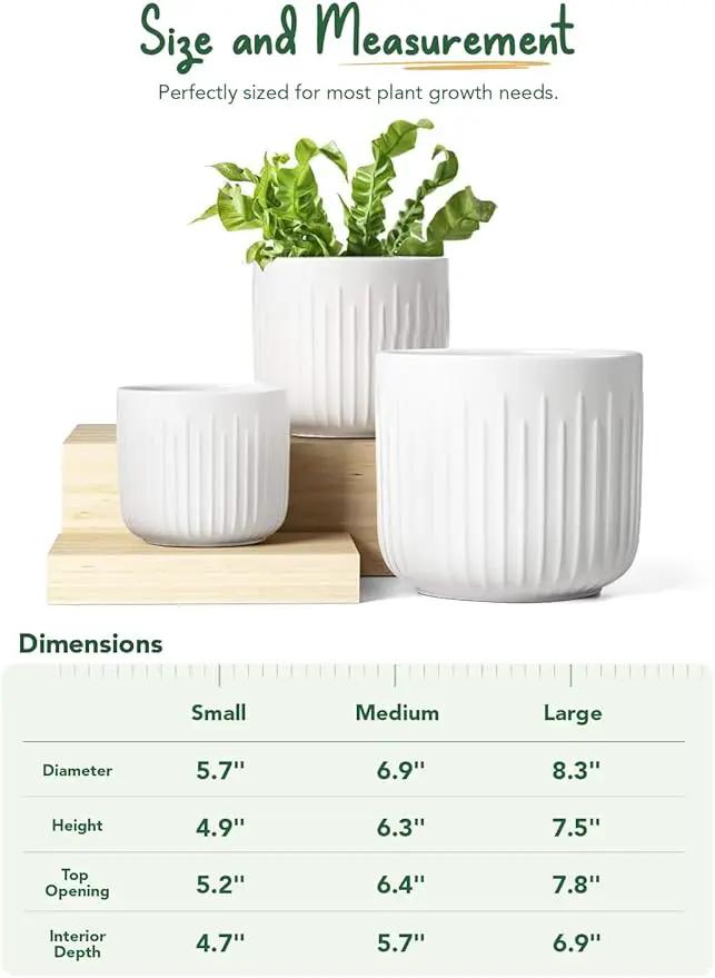 LE TAUCI Fluted Ceramic Planters Set of 3 – 8.3/7 / 5.7 in White Cylinder Indoor Plant Pots with Drainage Plug & Mesh, Matte Glazed Stoneware Flower Pots for Succulent Herb Cactus by GreenHaven Gardens