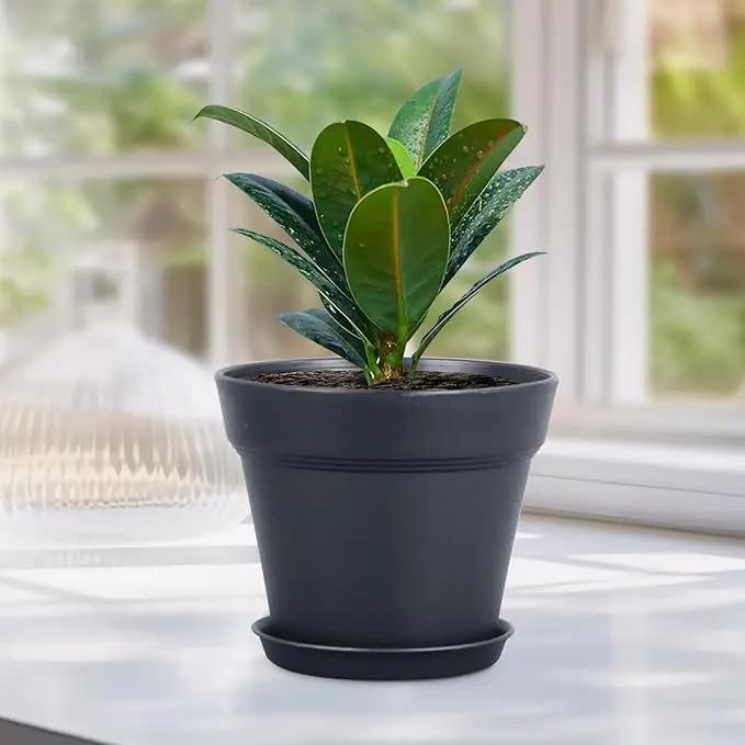 6 inch Nursery Pots, 16 Pack Plastic Plant Pots for Indoor Outdoor Plants, Flower Pots with Drainage Holes and Saucers, Decorative Seedling Starter Planters for House Plants, Black by GreenHaven Gardens