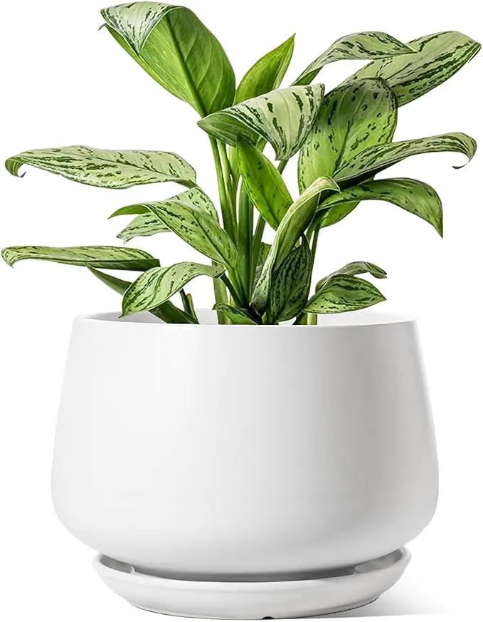 LE TAUCI Ceramic Planters, 12 Inch Pots for Plants, Indoor Plant Pots with Drainage Holes and Saucers, Modern Planters Fit Mid Century Plant Stand, Flower Pots for Indoor Plants, White by GreenHaven Gardens
